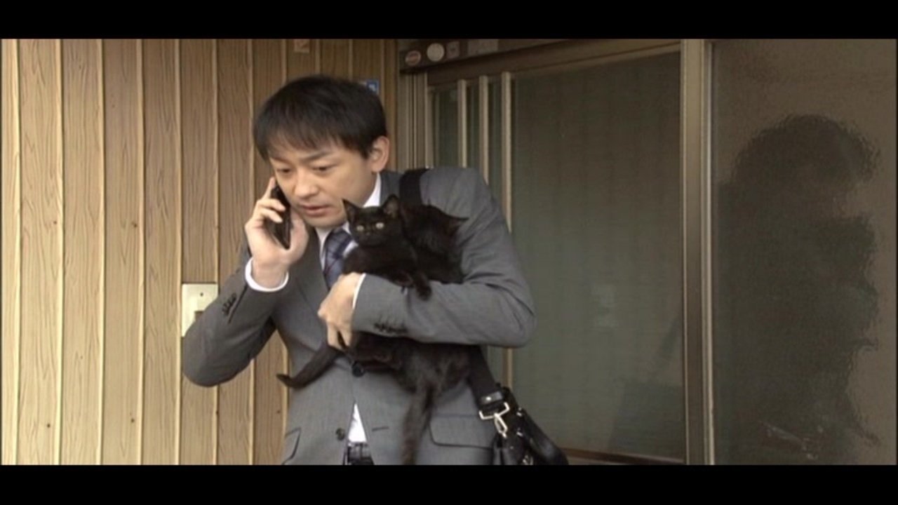 くろねこルーシー|くろねこルーシー