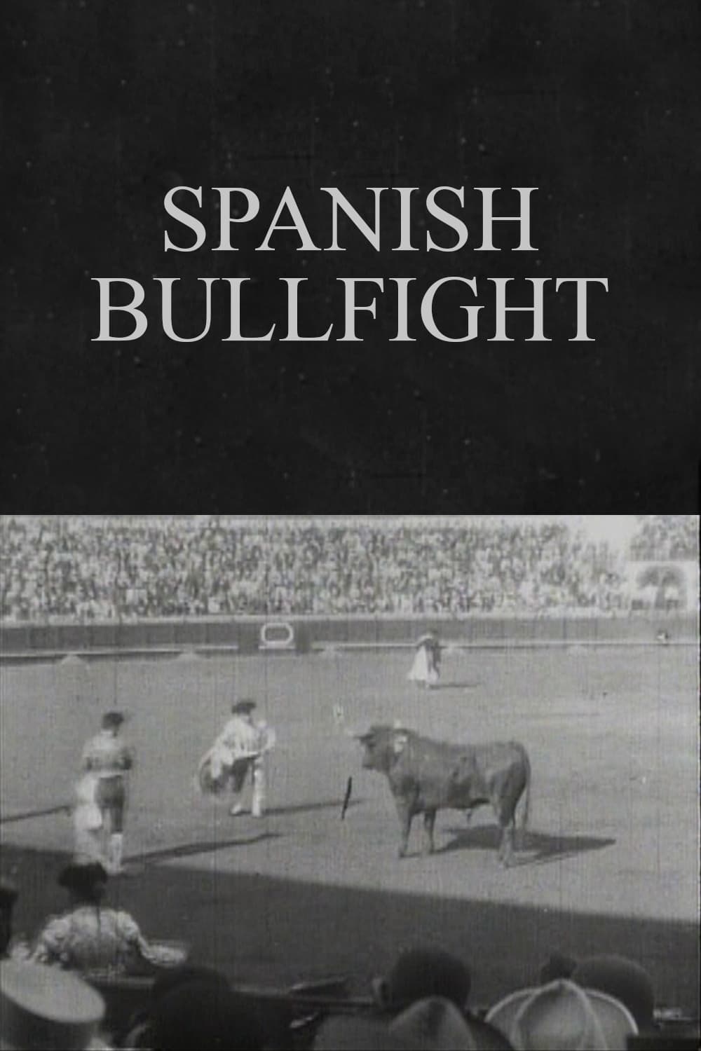 Spanish Bullfight | Spanish Bullfight