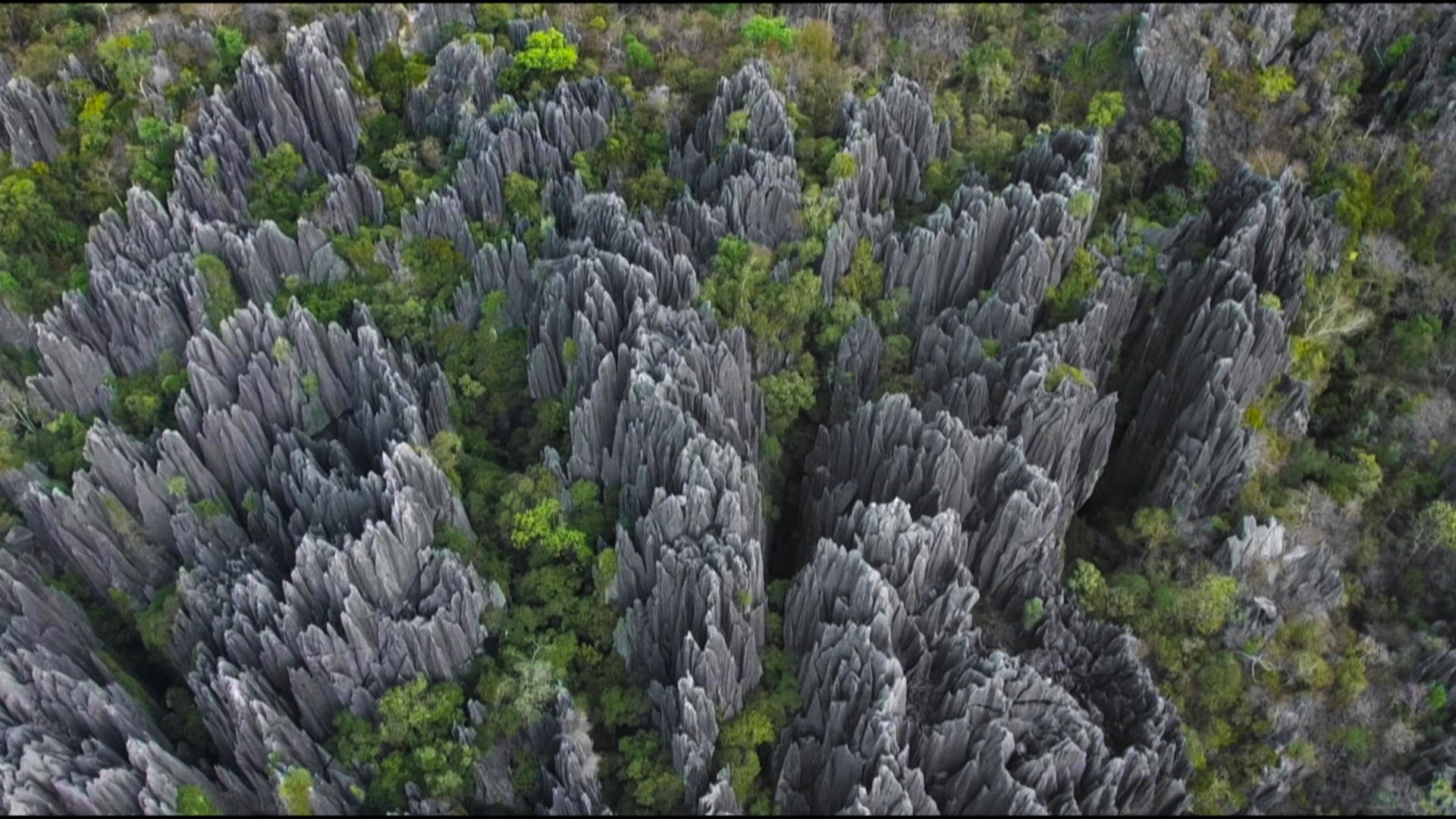 L'Histoire Secrète Des Paysages|L'Histoire Secrète Des Paysages