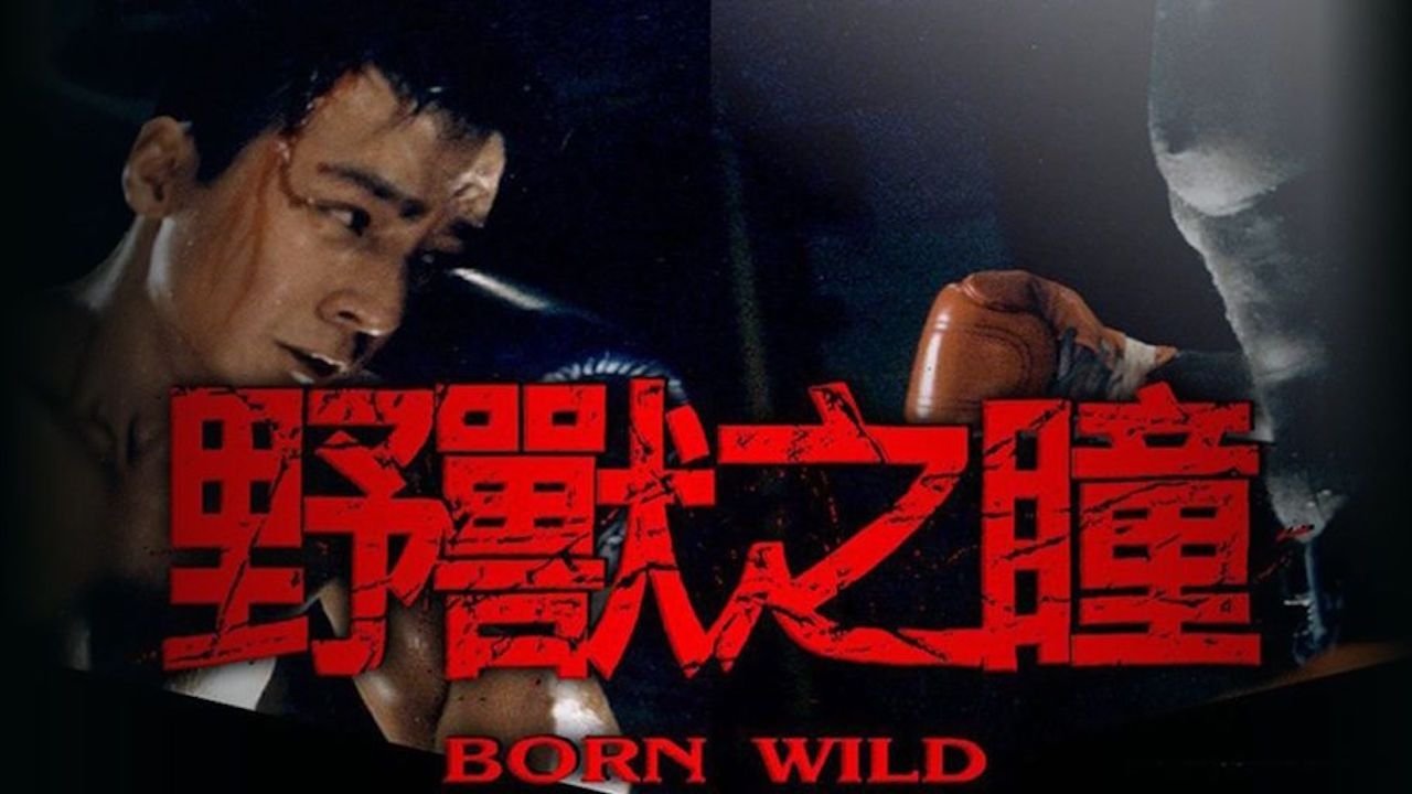 野獸之瞳|野獸之瞳