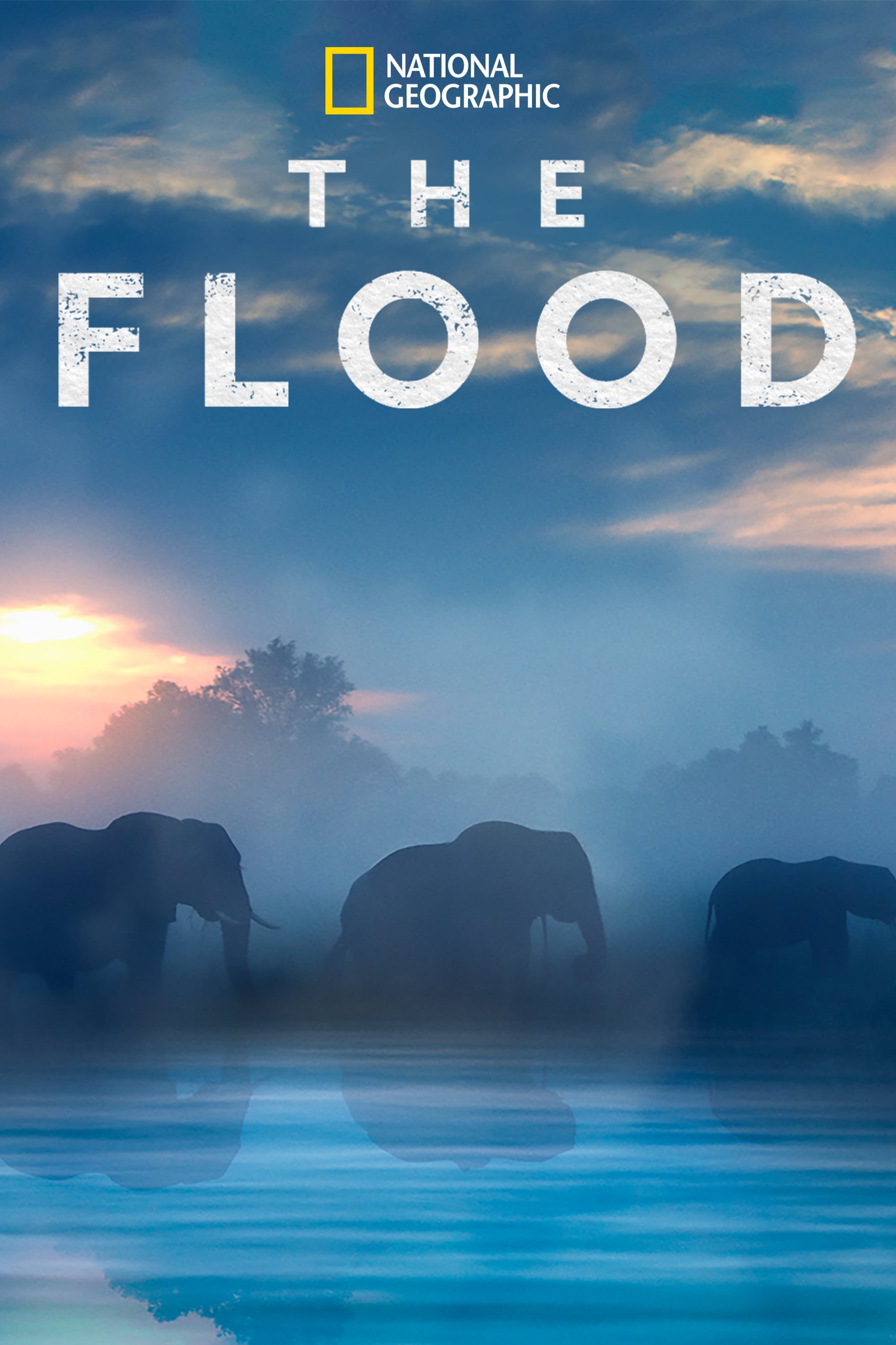 The Flood | The Flood