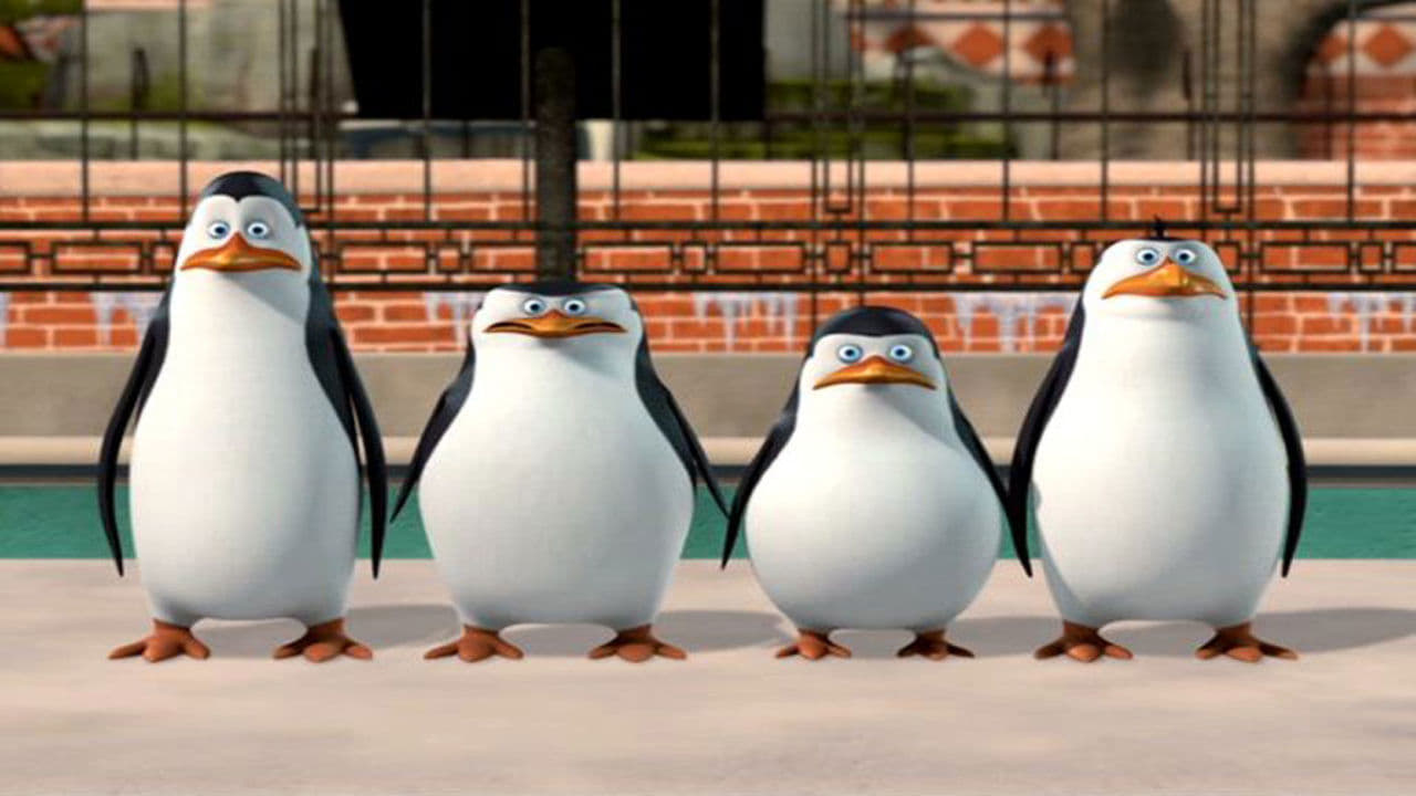 The Penguins of Madagascar: New to the Zoo|The Penguins of Madagascar: New to the Zoo