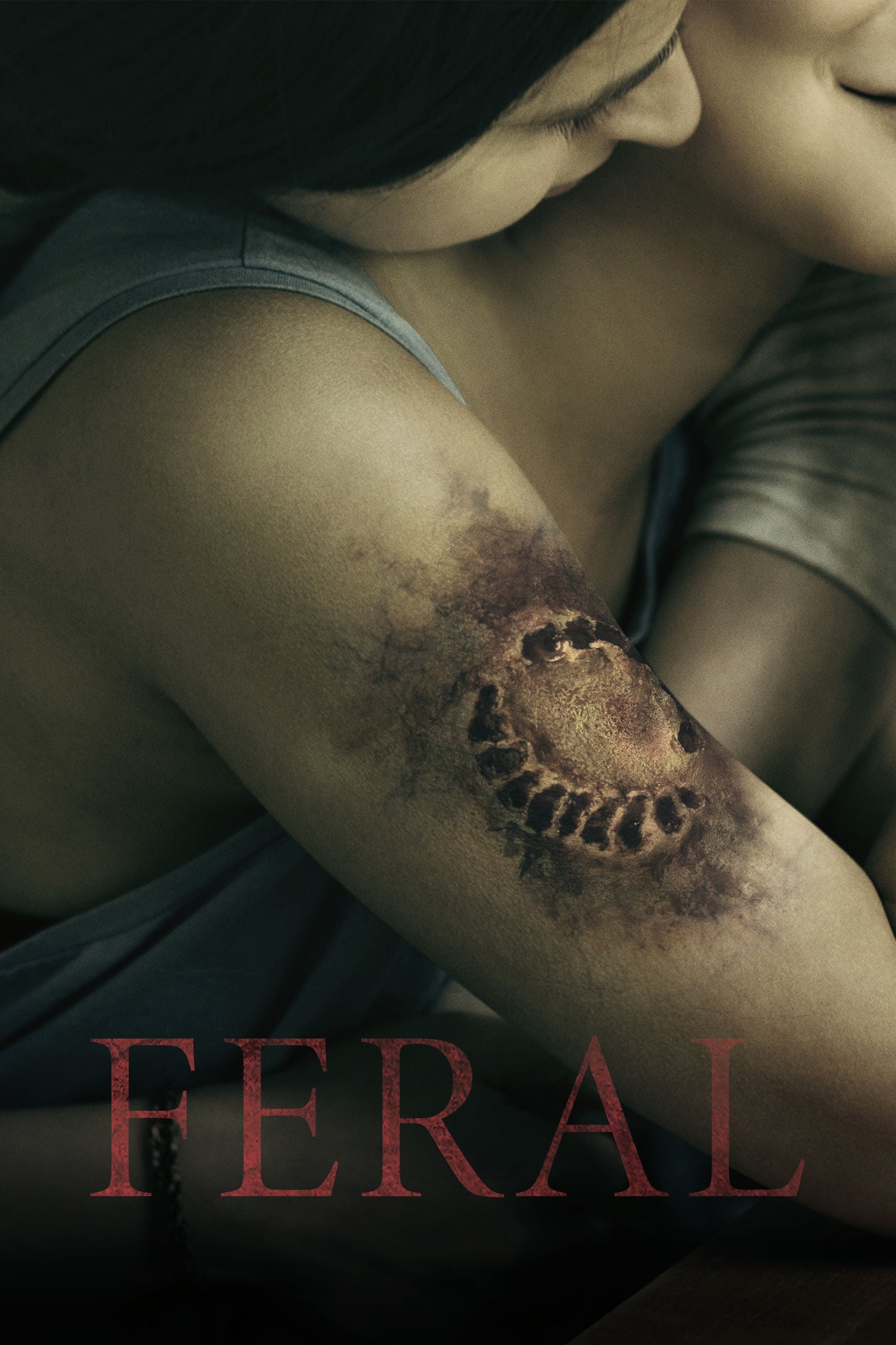 Feral | Feral