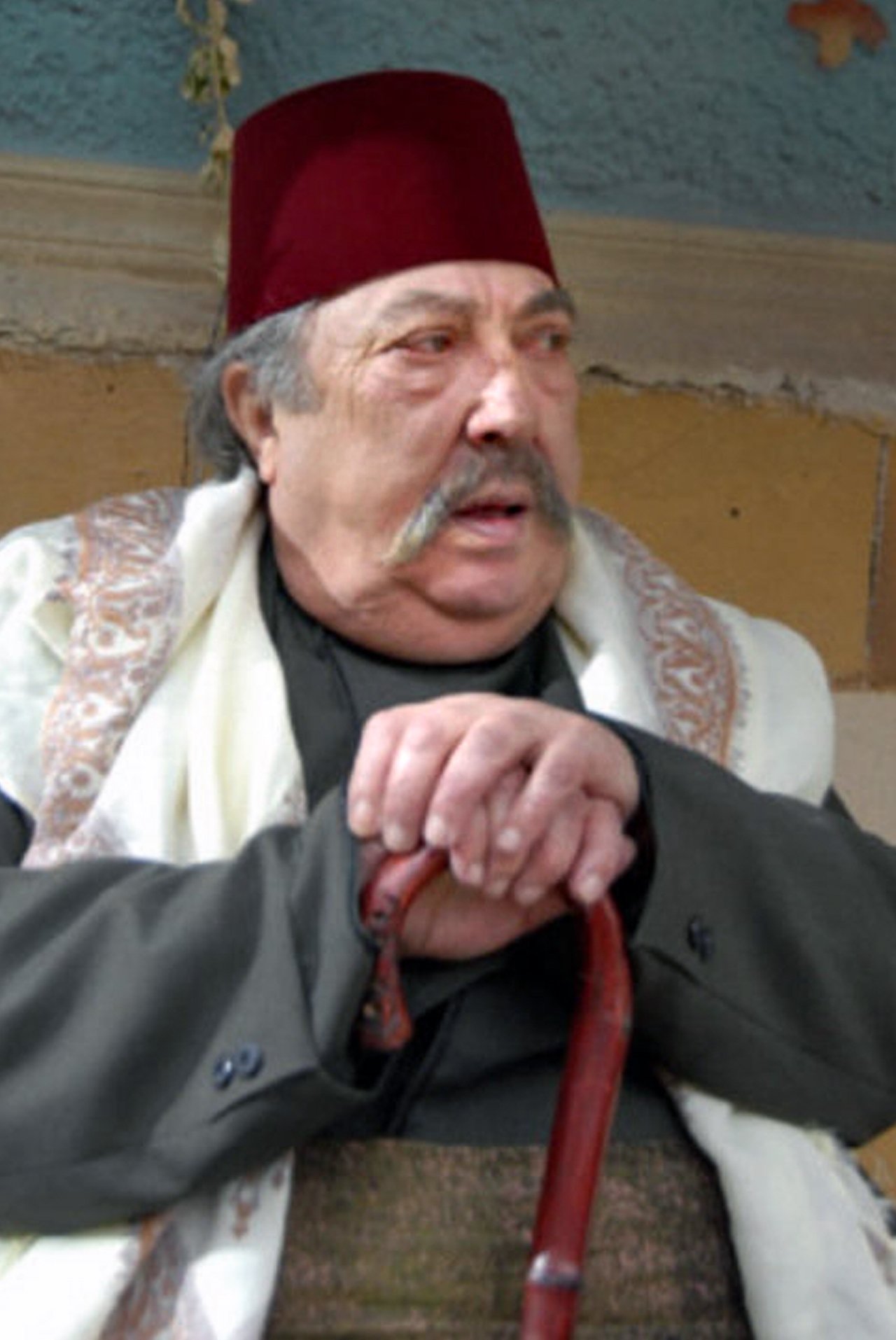بازیگر Hani ElRomani  