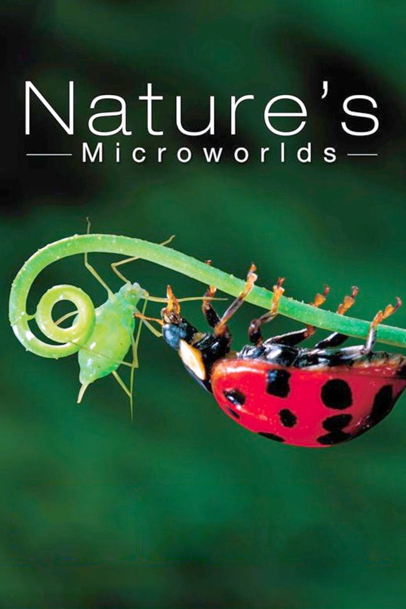 Nature's Microworlds | Nature's Microworlds