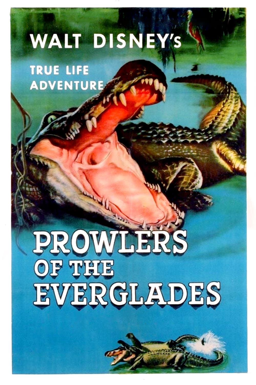 Prowlers of the Everglades | Prowlers of the Everglades