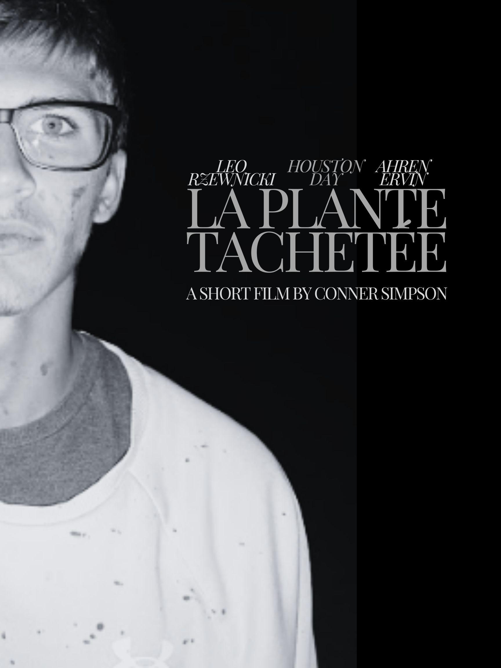 La Plante Tachetée | La Plante Tachetée