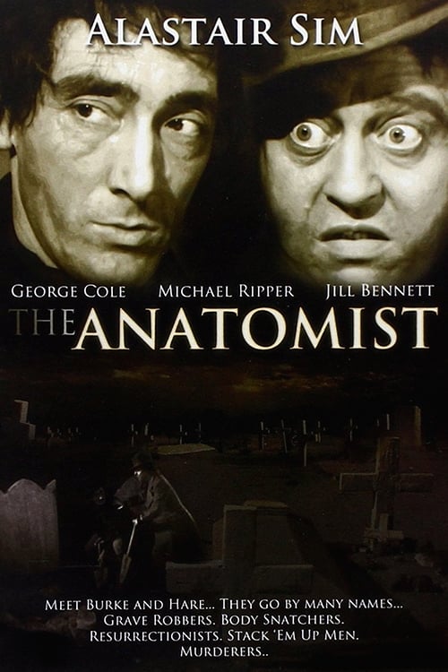 The Anatomist | The Anatomist