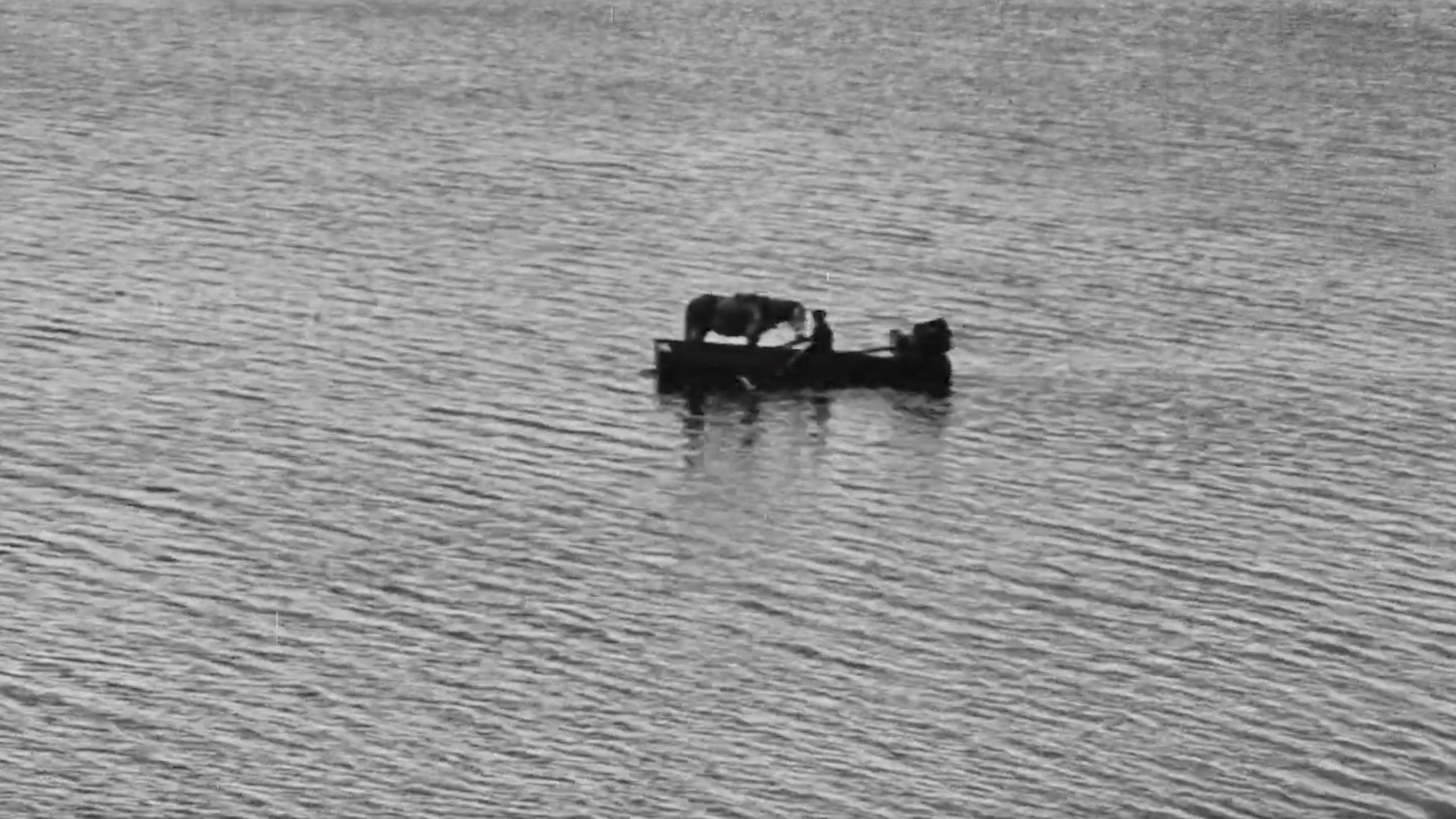 تصویر 0