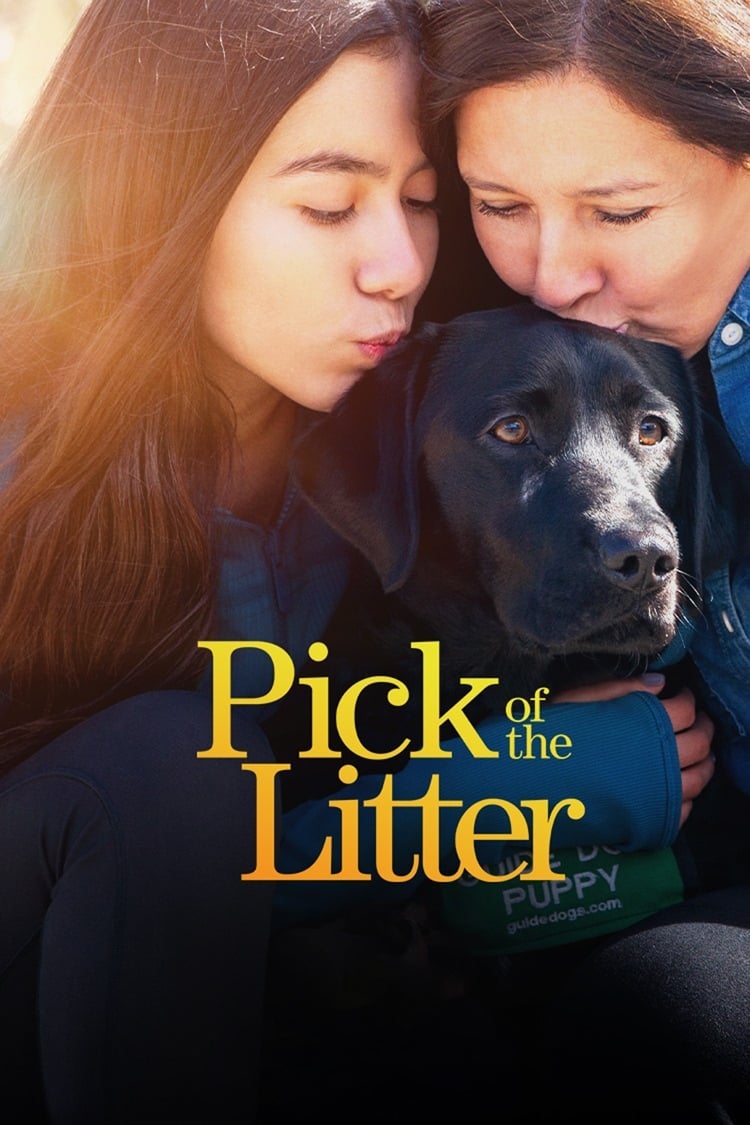 Pick of the Litter | Pick of the Litter