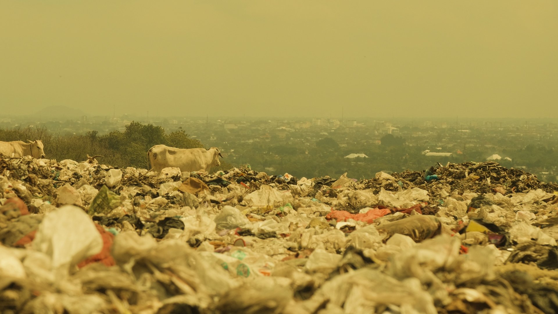 Kiamat Sampah|Kiamat Sampah