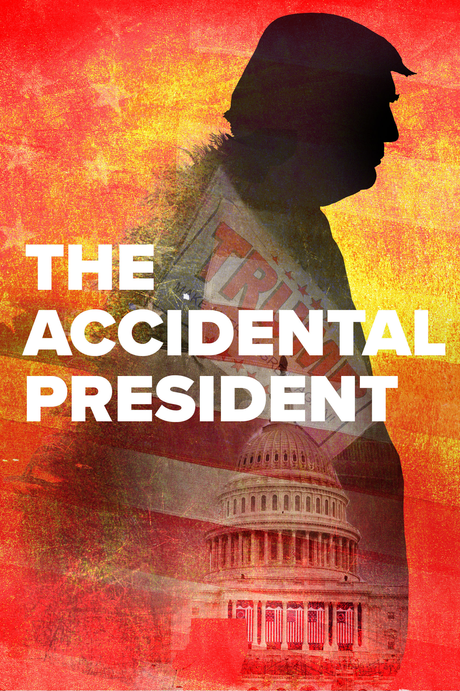 The Accidental President | The Accidental President