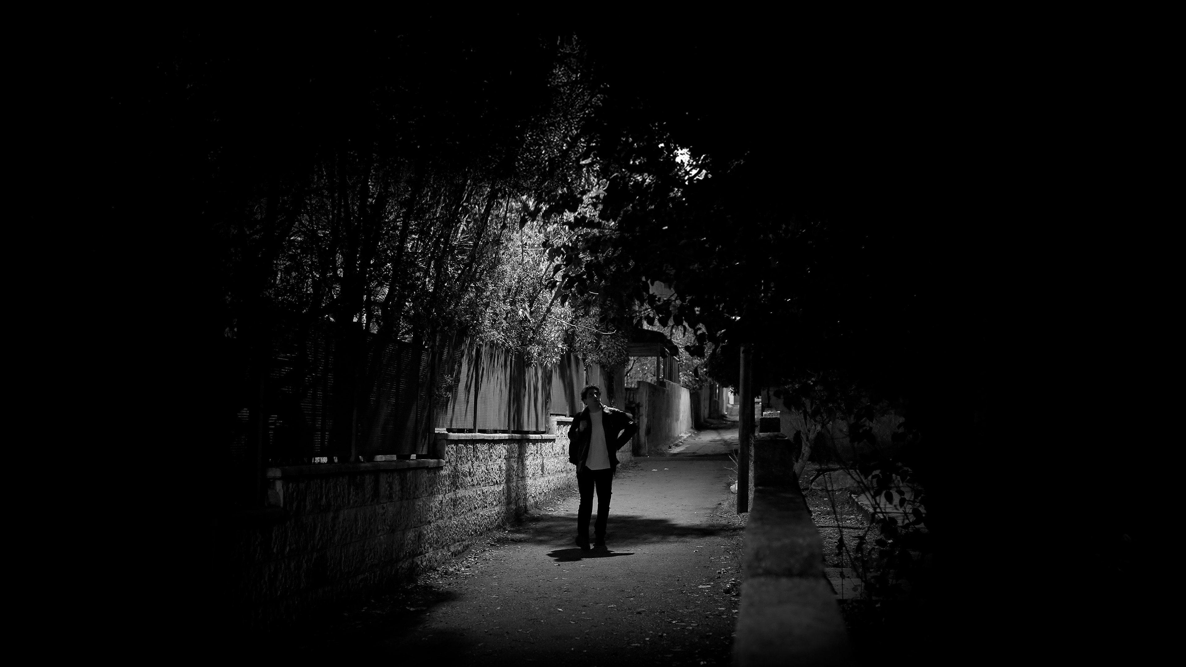 تصویر 2