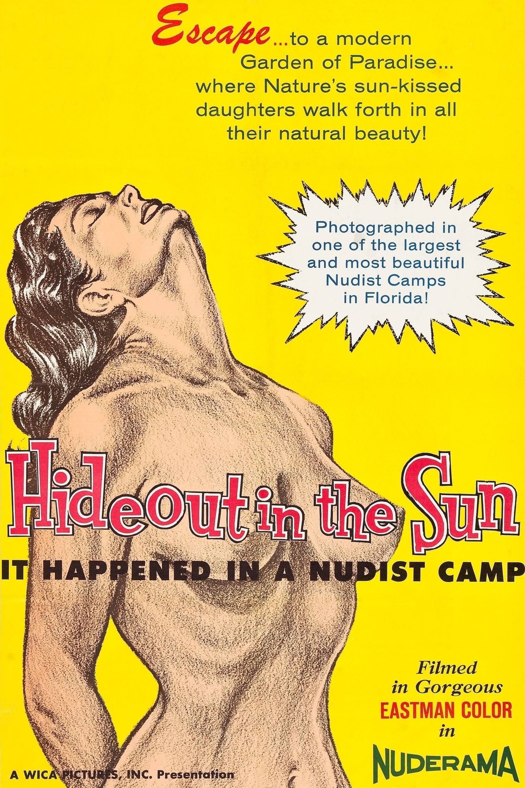 Hideout in the Sun | Hideout in the Sun