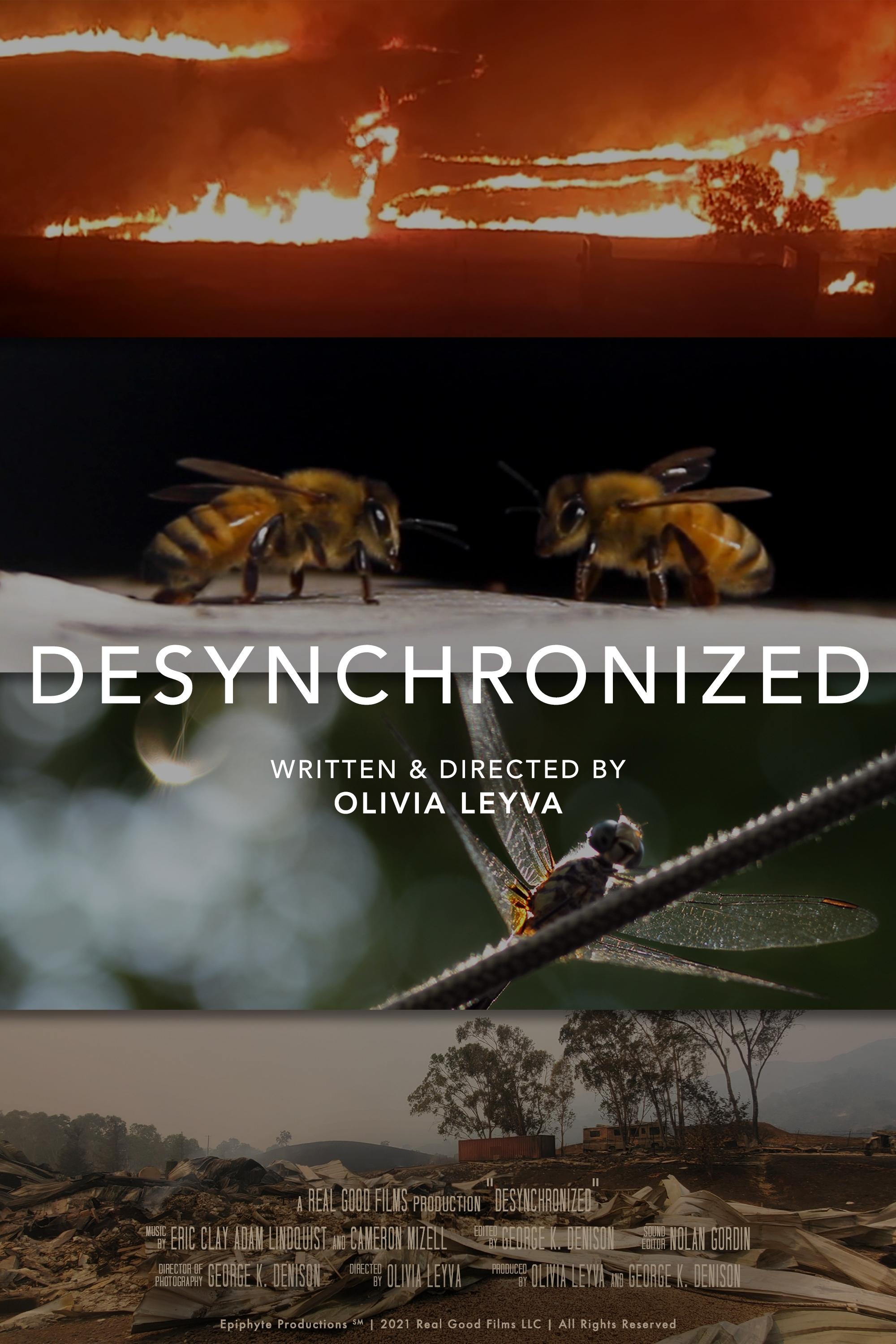 Desynchronized | Desynchronized