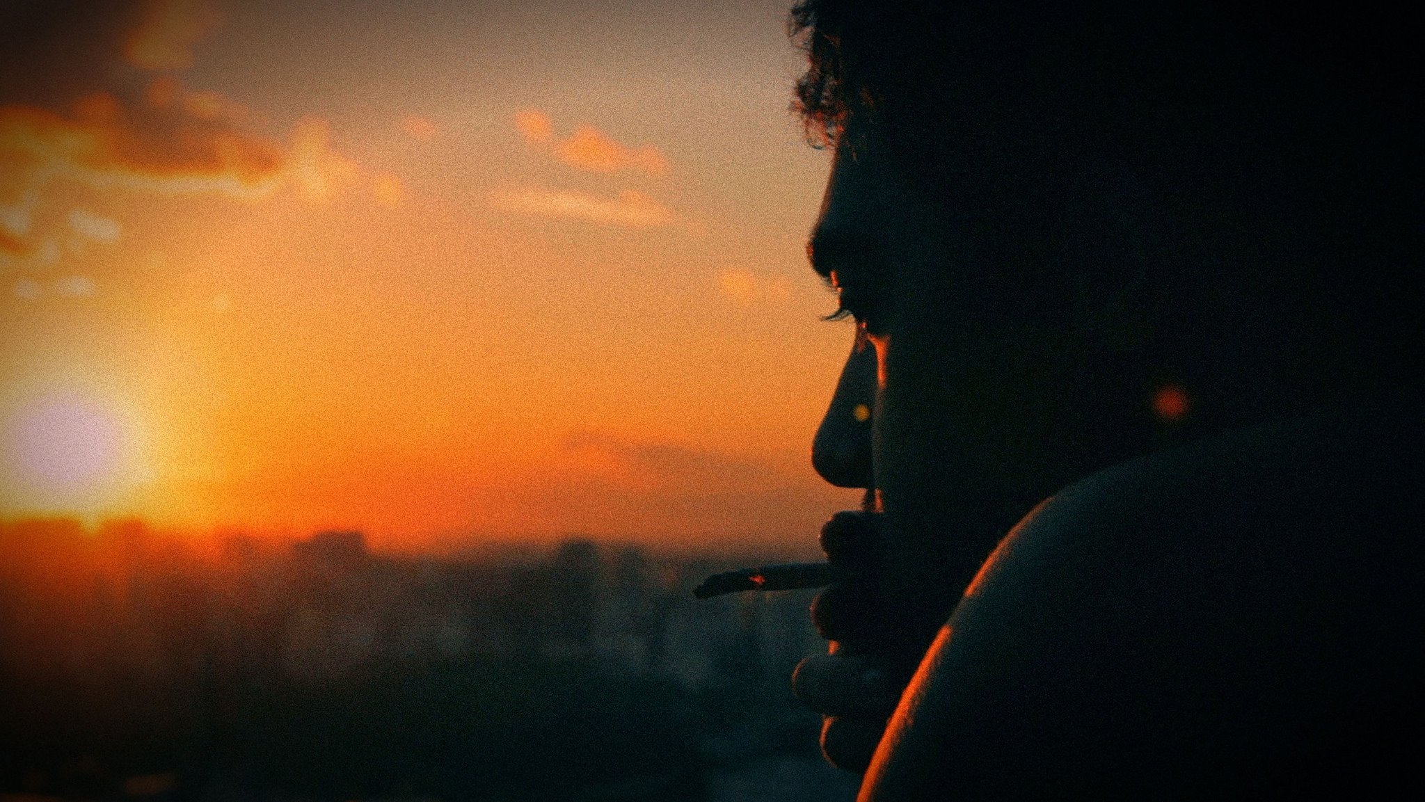A Bruta Flor do Querer|A Bruta Flor do Querer