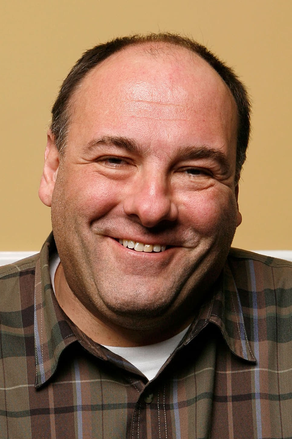 بازیگر James Gandolfini  