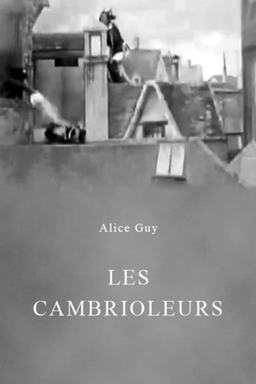 Les cambrioleurs | Les cambrioleurs