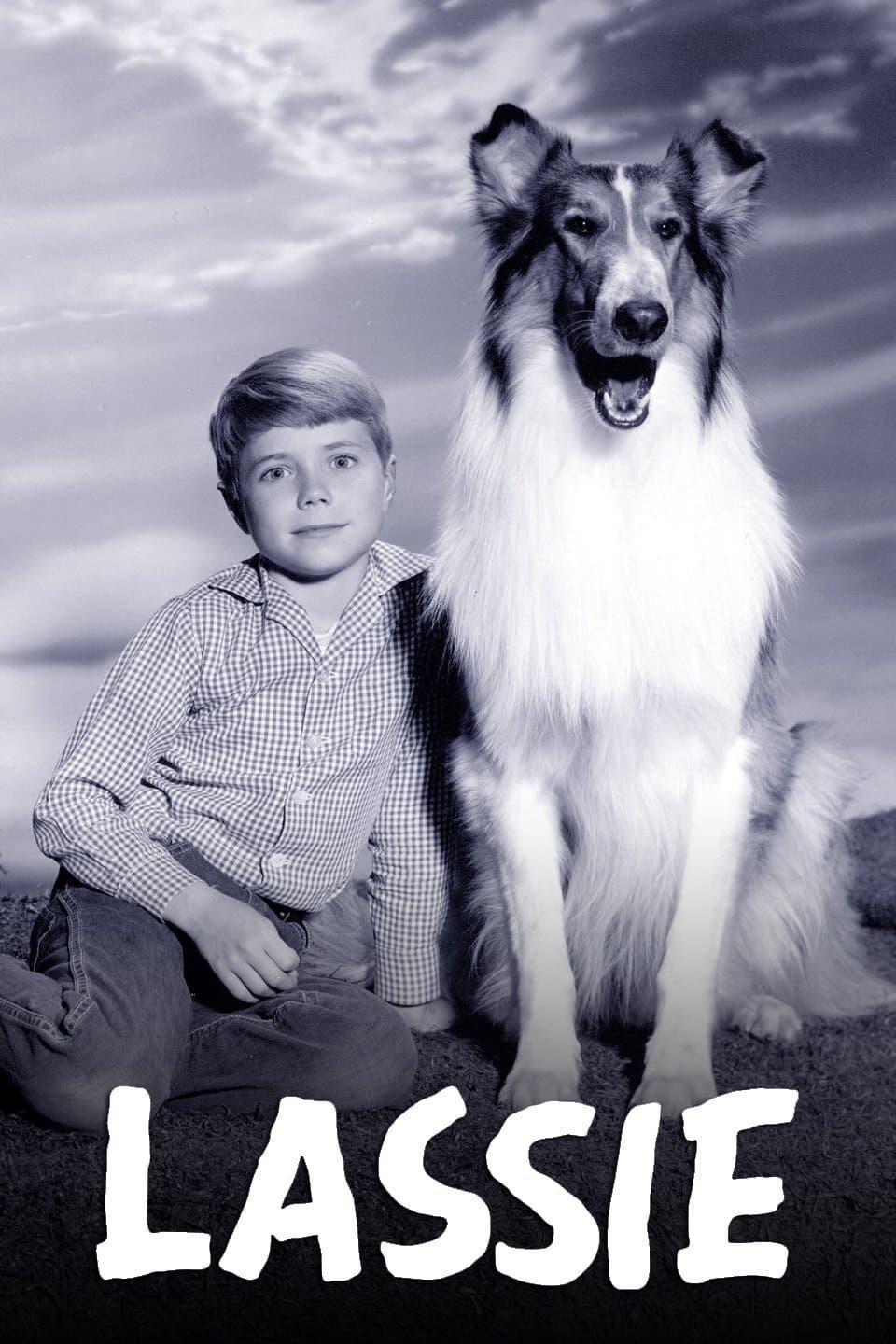 لاسی | Lassie