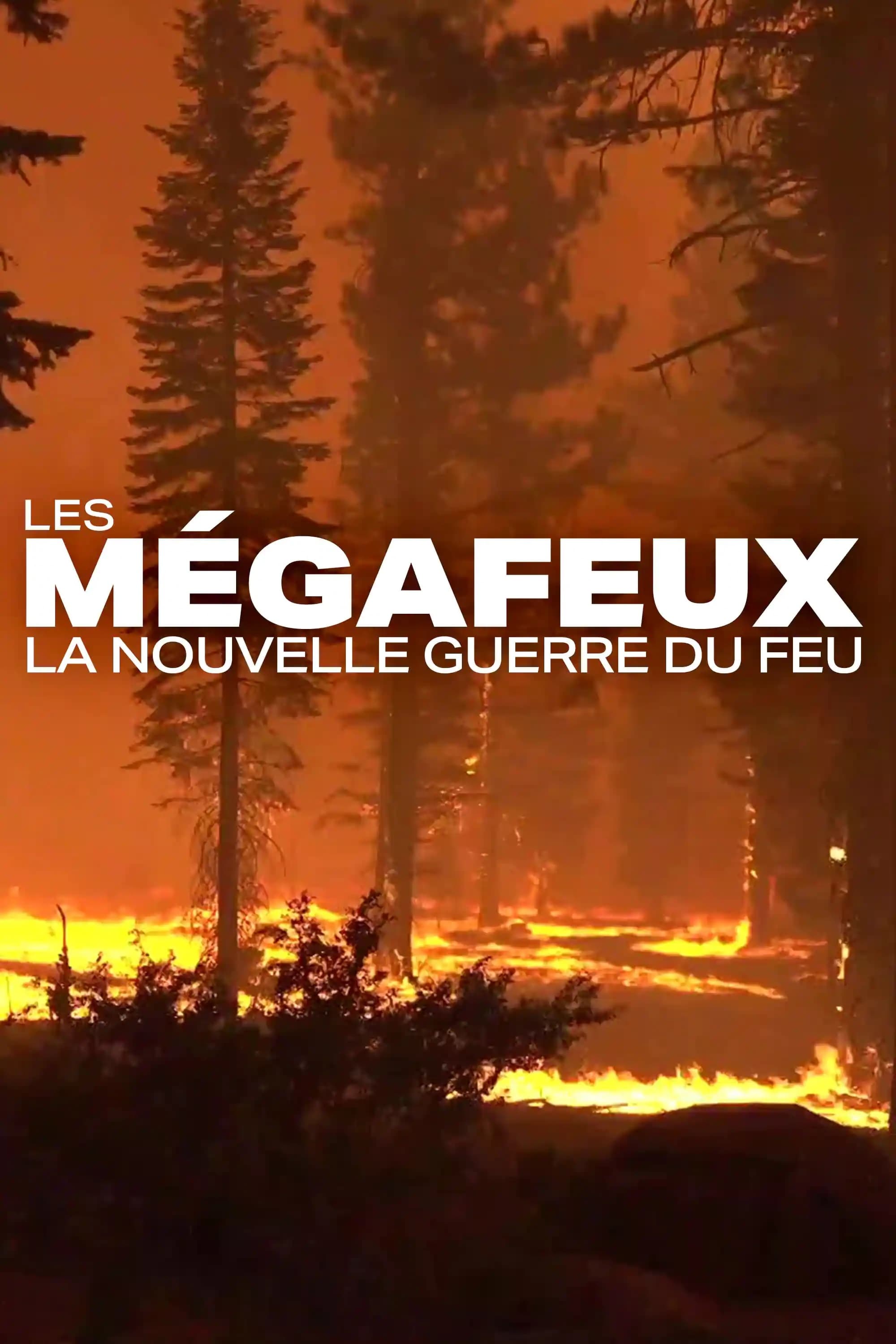 Les Mégafeux, la nouvelle guerre du feu | Les Mégafeux, la nouvelle guerre du feu