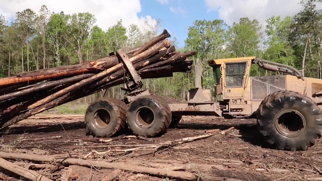 Swamp Loggers|Swamp Loggers