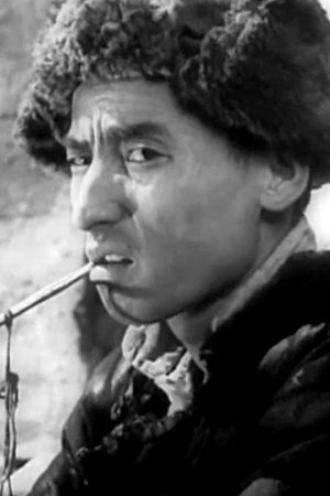 بازیگر Zong Liu  