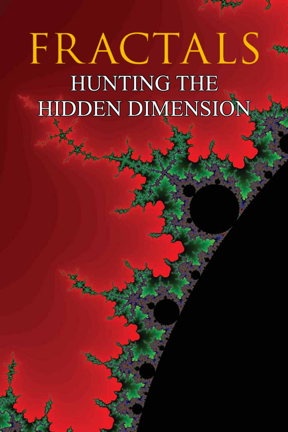 Fractals: Hunting the Hidden Dimension | Fractals: Hunting the Hidden Dimension