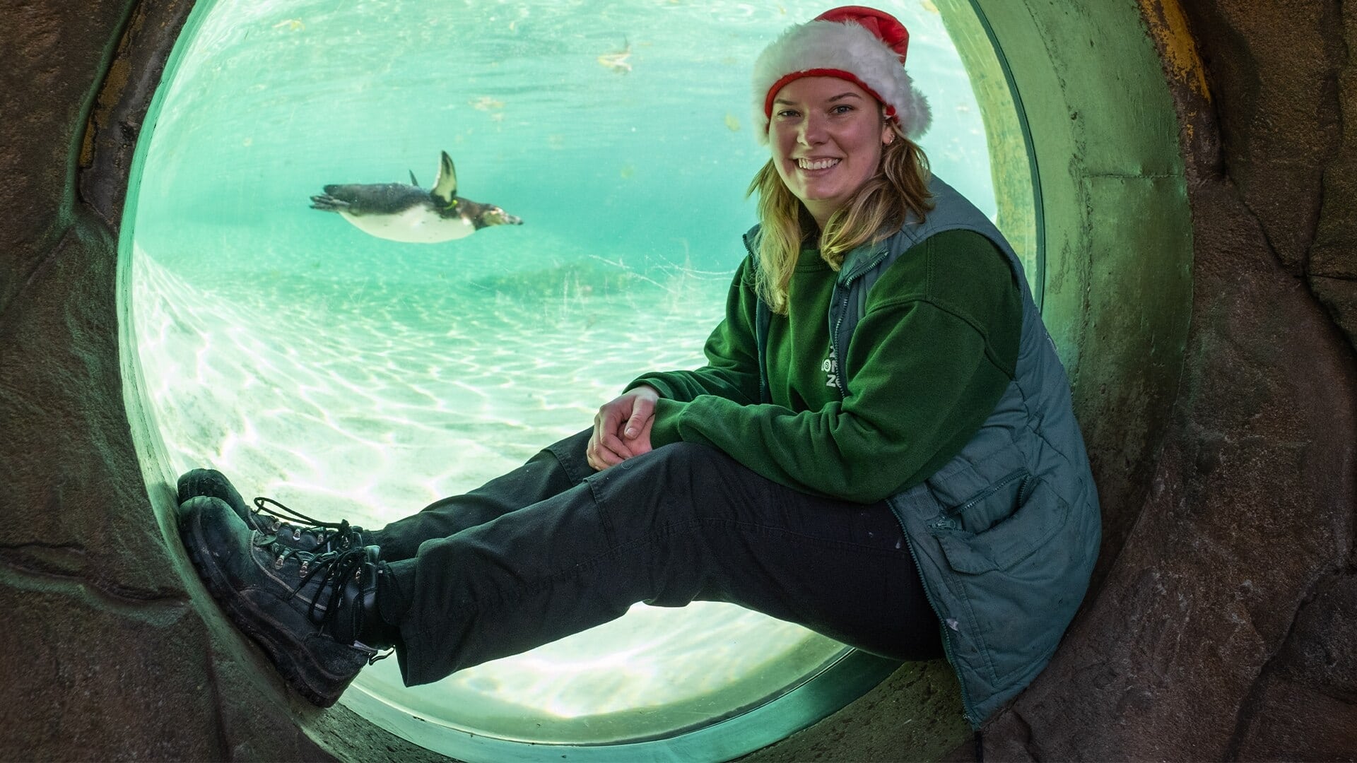 London Zoo at Christmas|London Zoo at Christmas