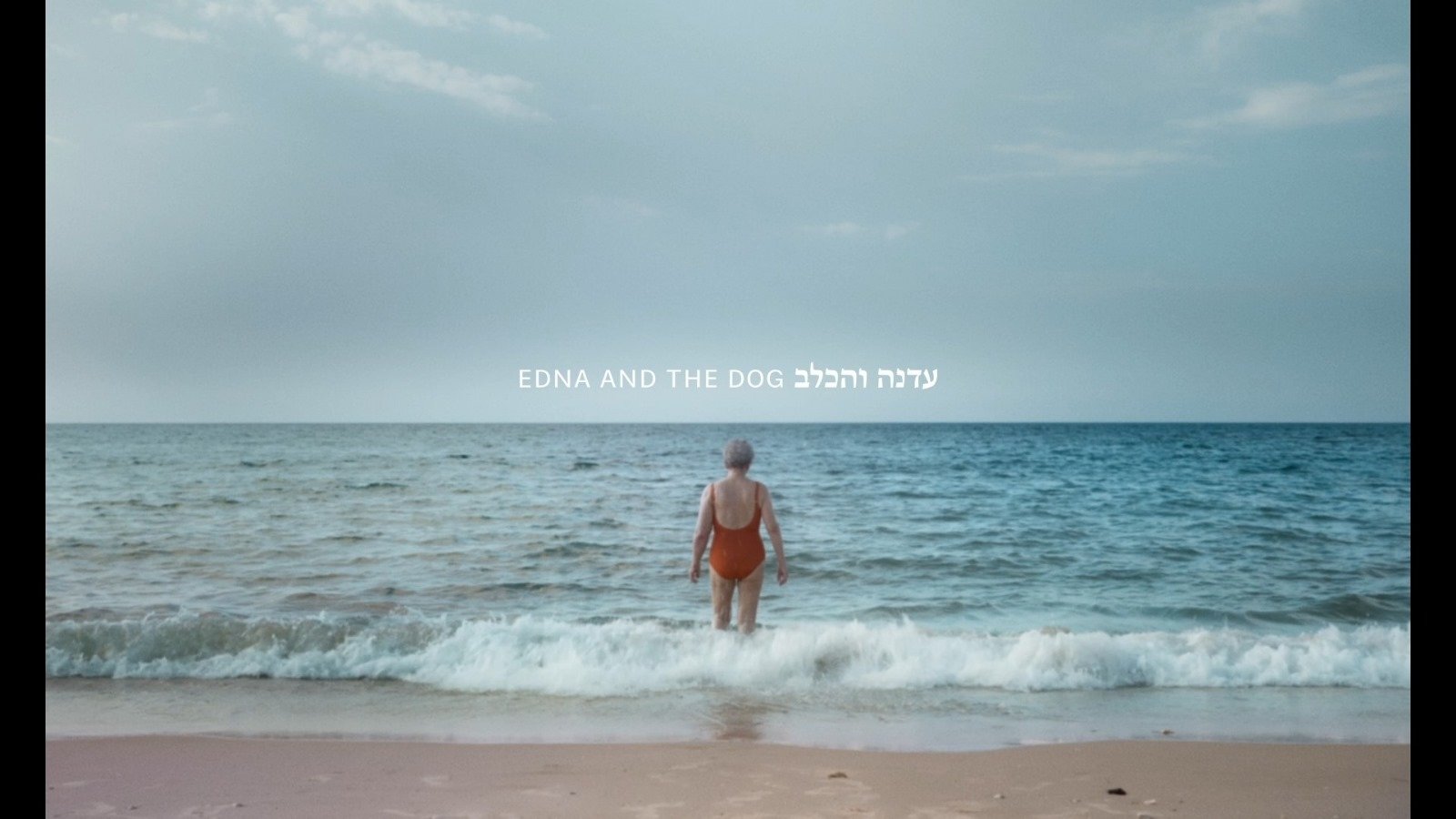 Edna and the Dog|Edna and the Dog