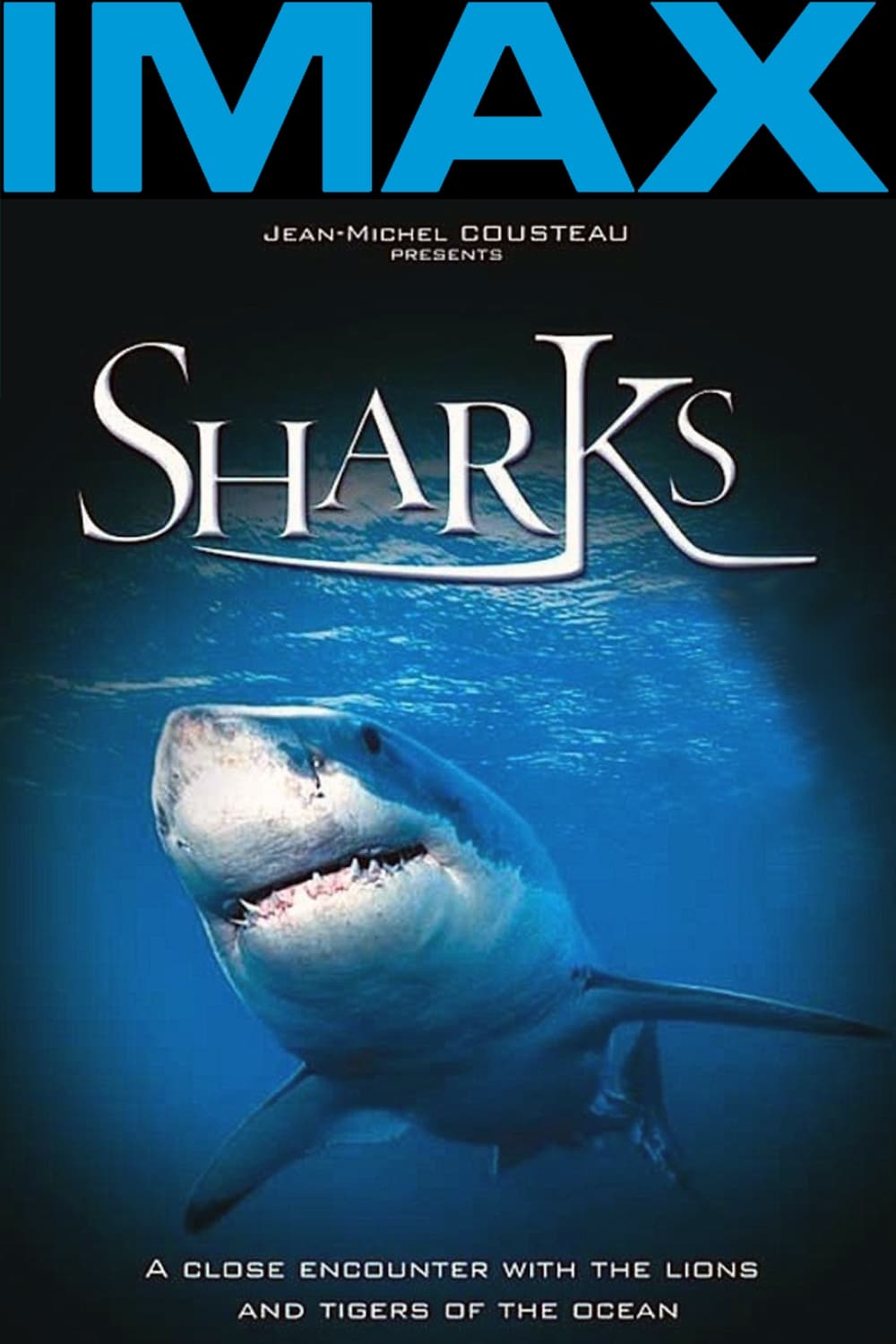 IMAX: Sharks 3D