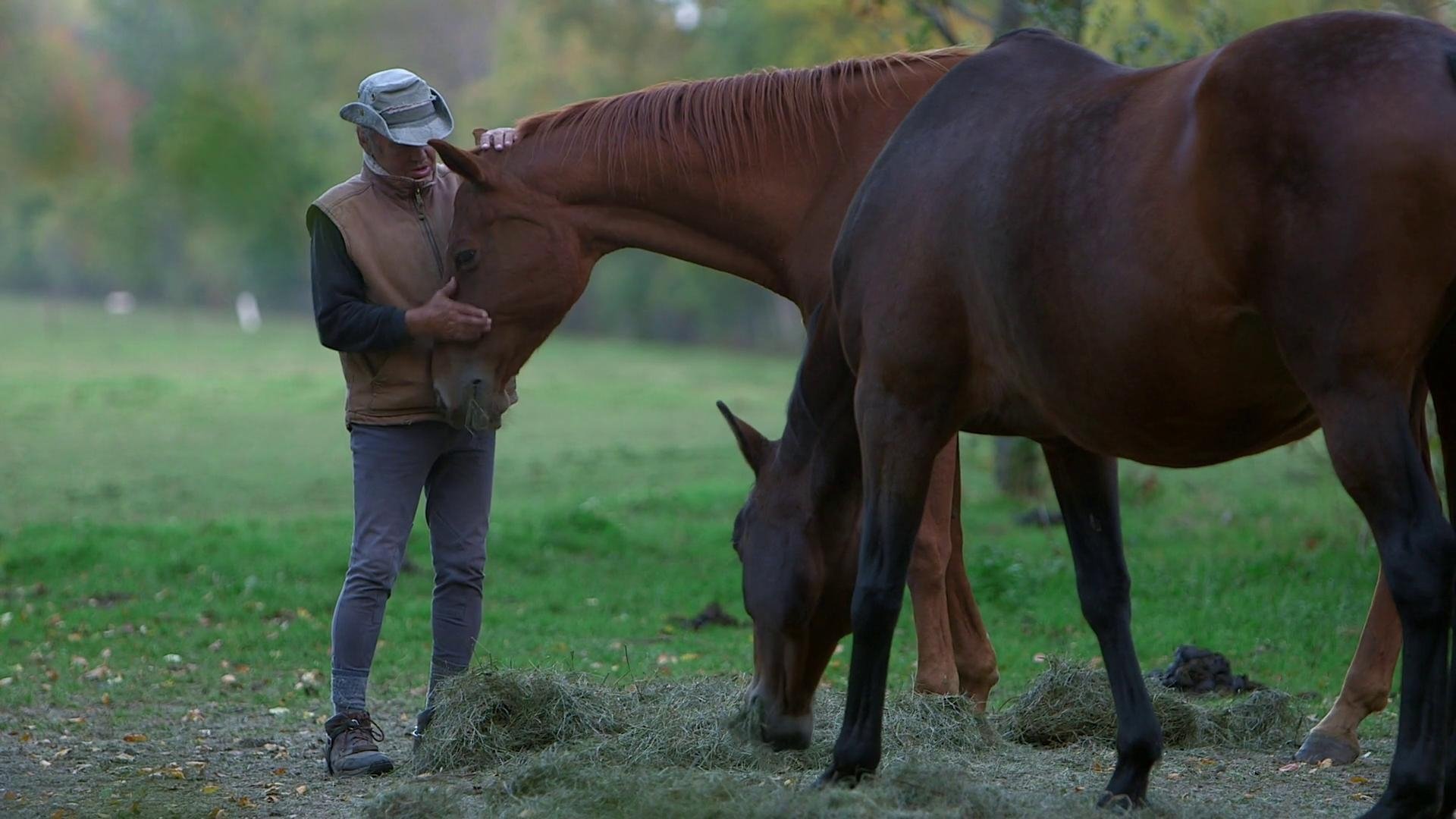Un cavalier, un rêve, Boucane|Un cavalier, un rêve, Boucane