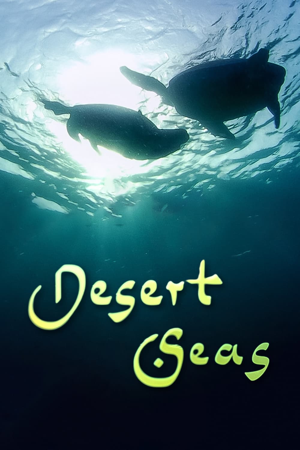 Desert Seas | Desert Seas