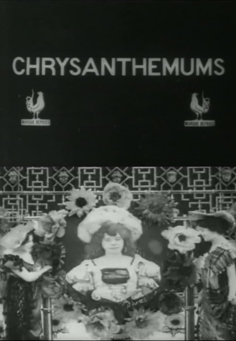 Les chrysanthèmes | Les chrysanthèmes