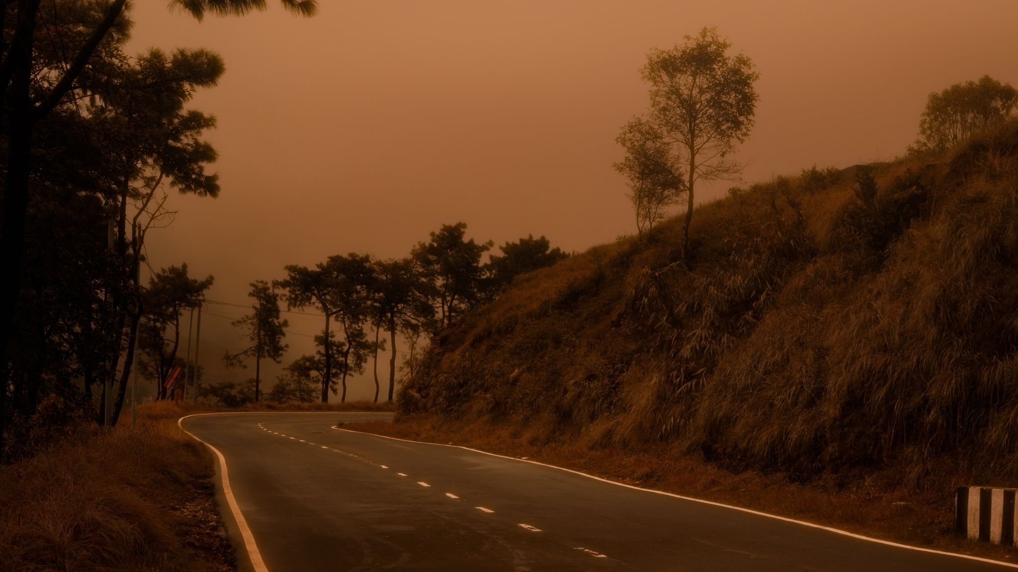تصویر 0