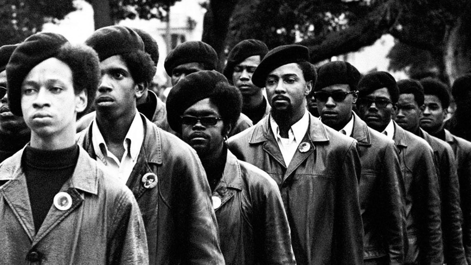 Black Panthers|Black Panthers