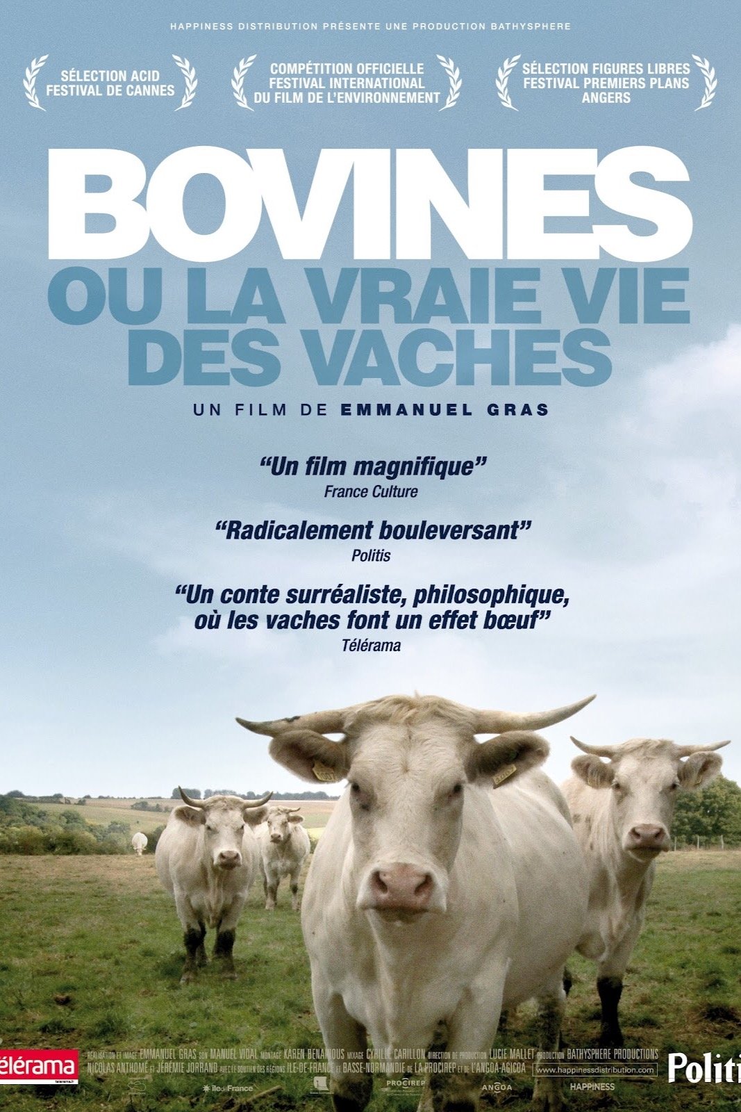 Bovines | Bovines