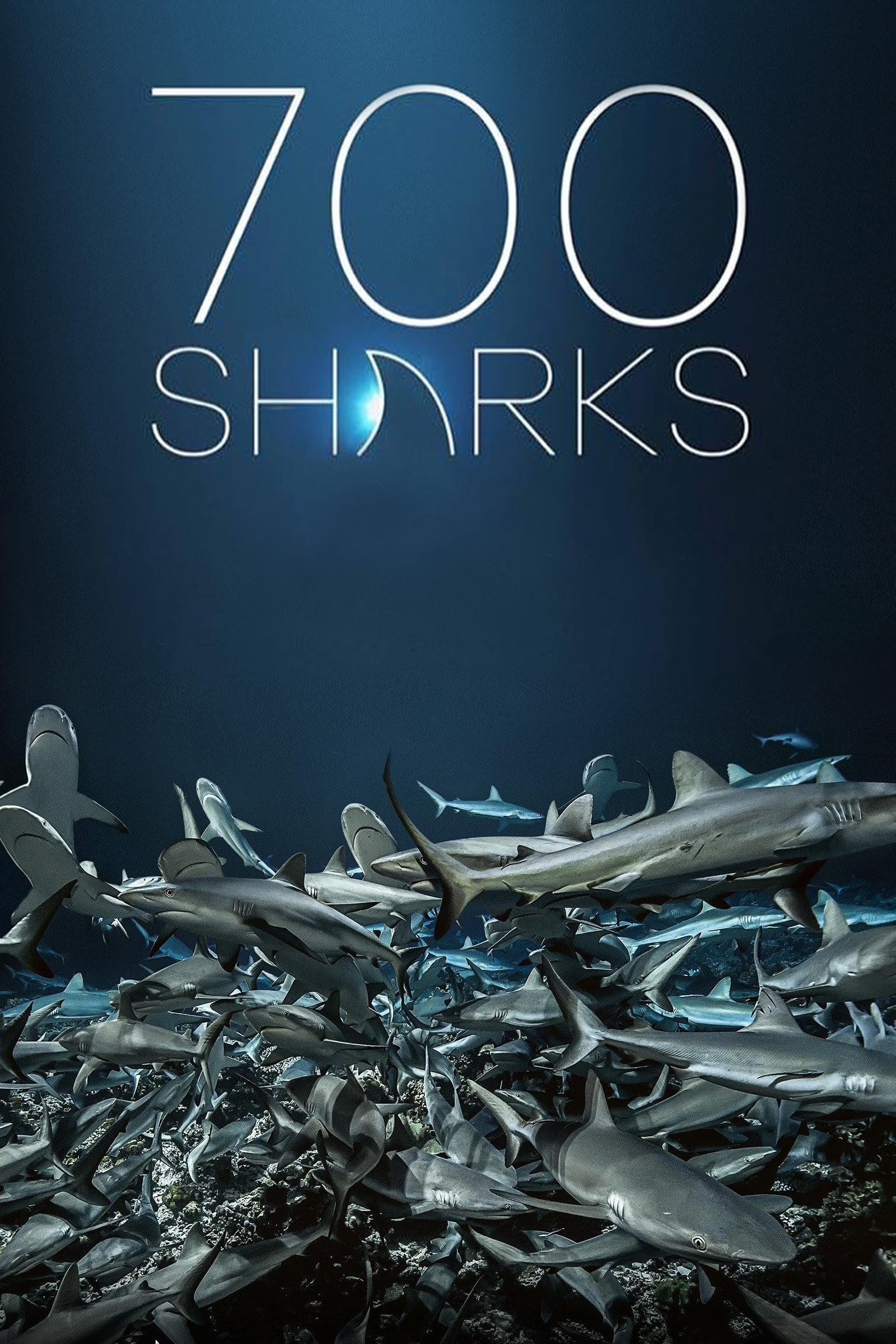 700 requins dans la nuit