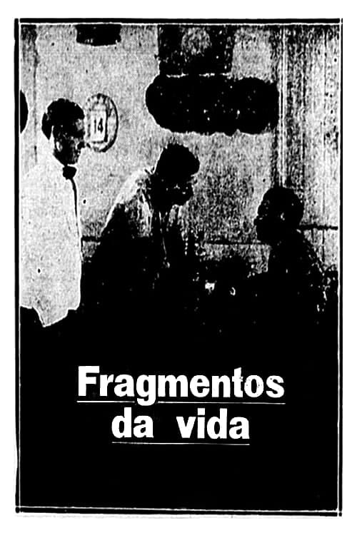 Fragmentos da Vida | Fragmentos da Vida