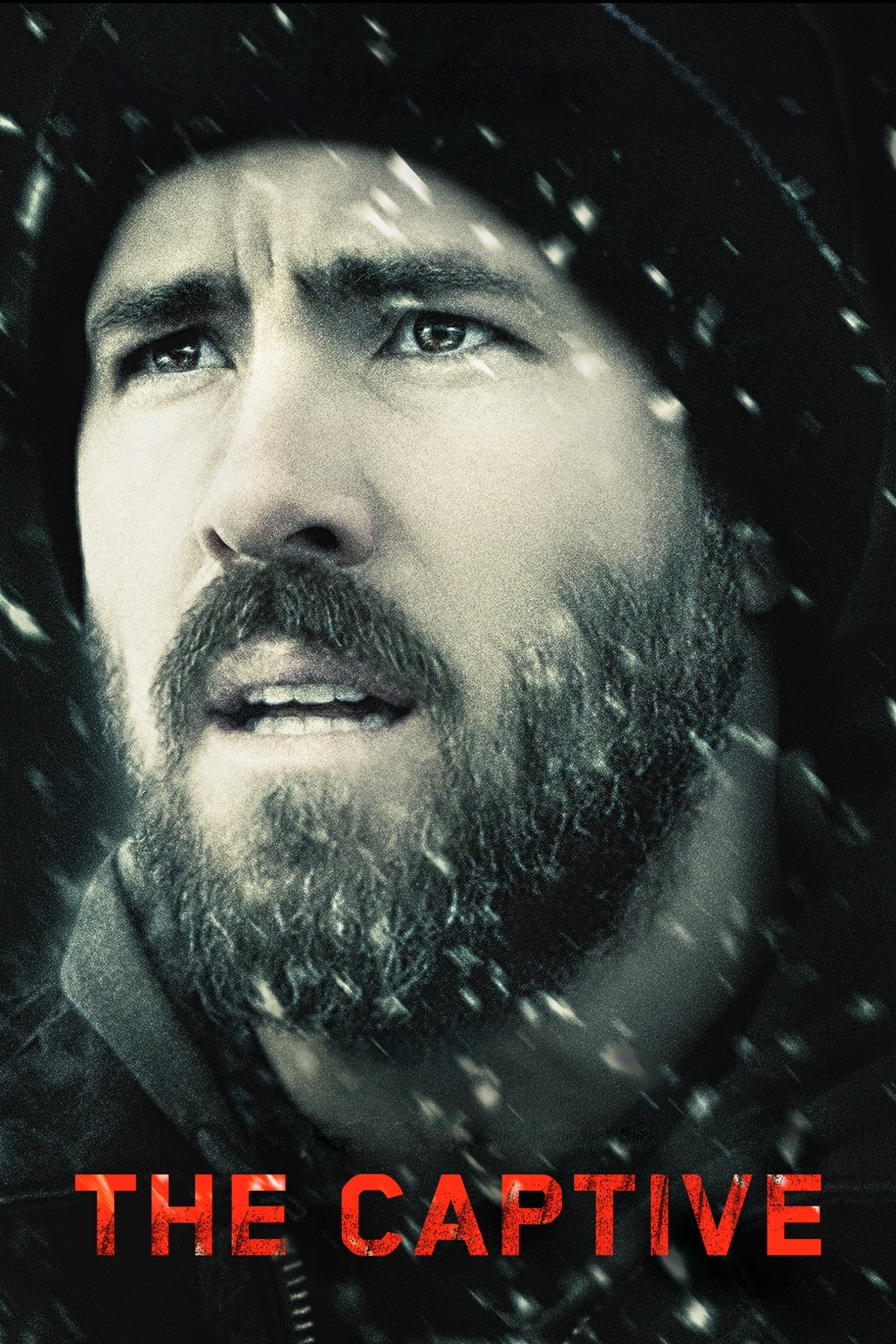 The Captive | The Captive