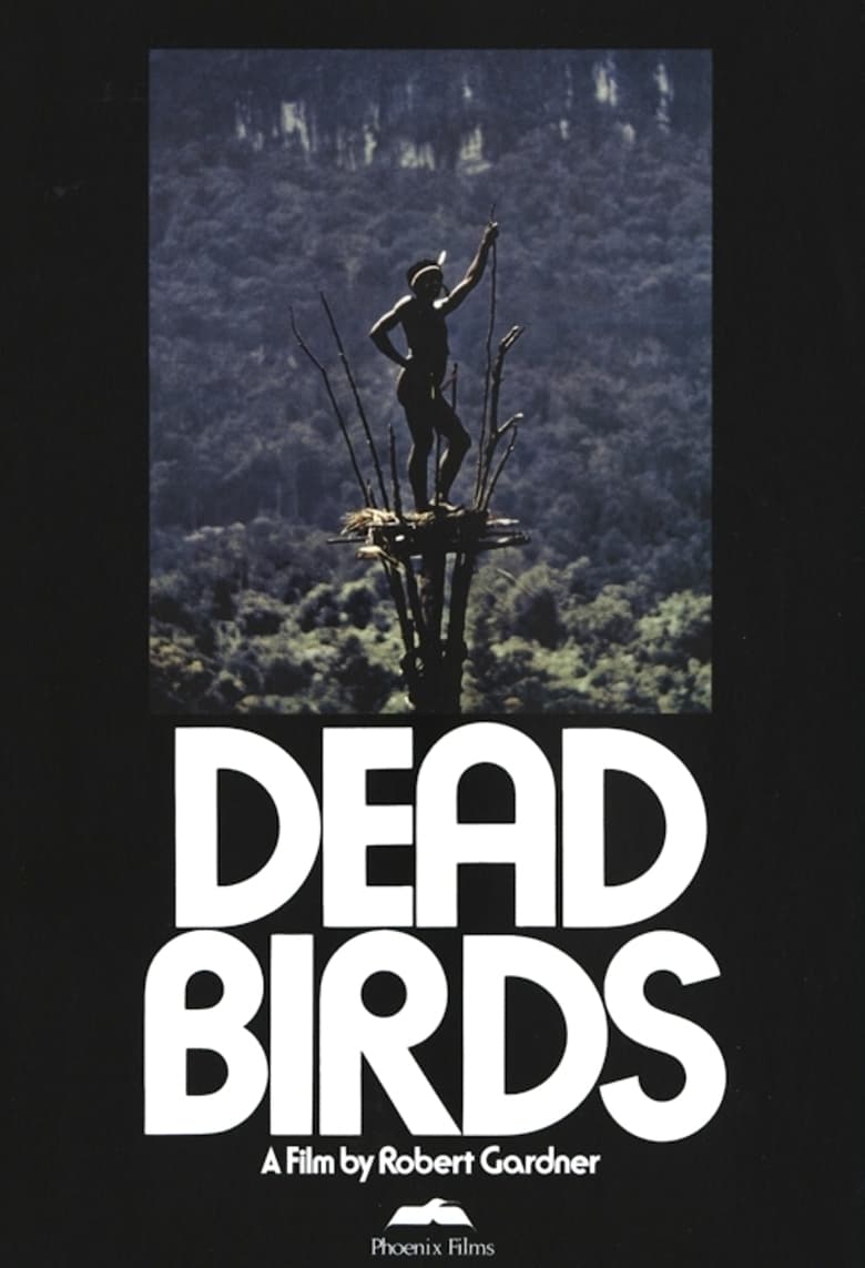 Dead Birds | Dead Birds