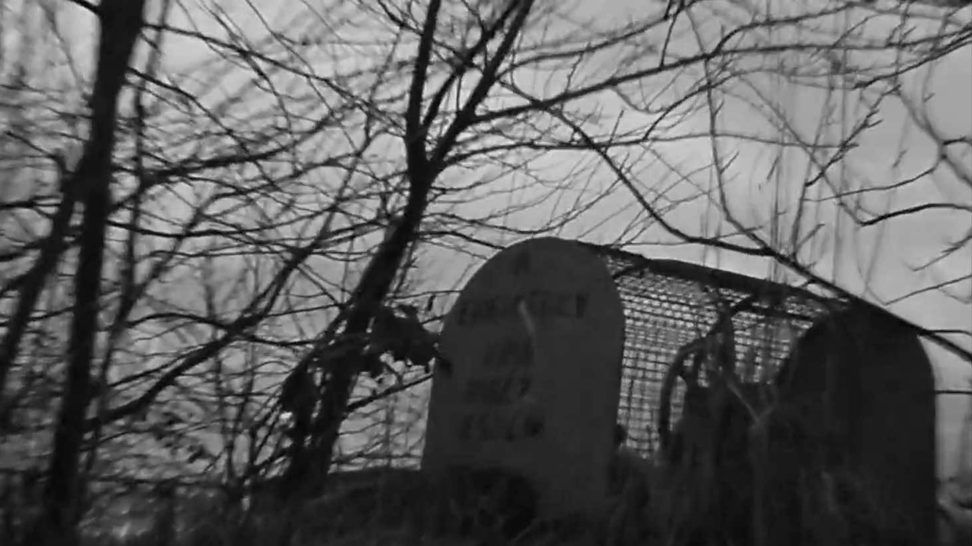 CREEP|CREEP