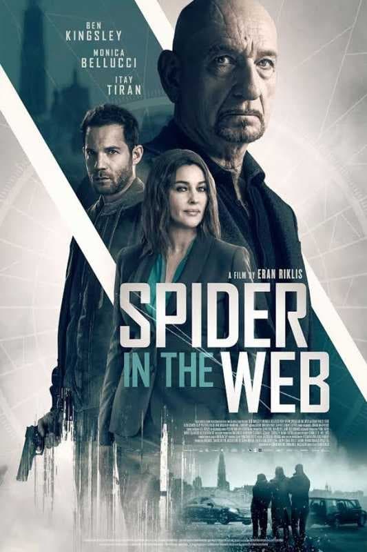 Spider in the Web | Spider in the Web