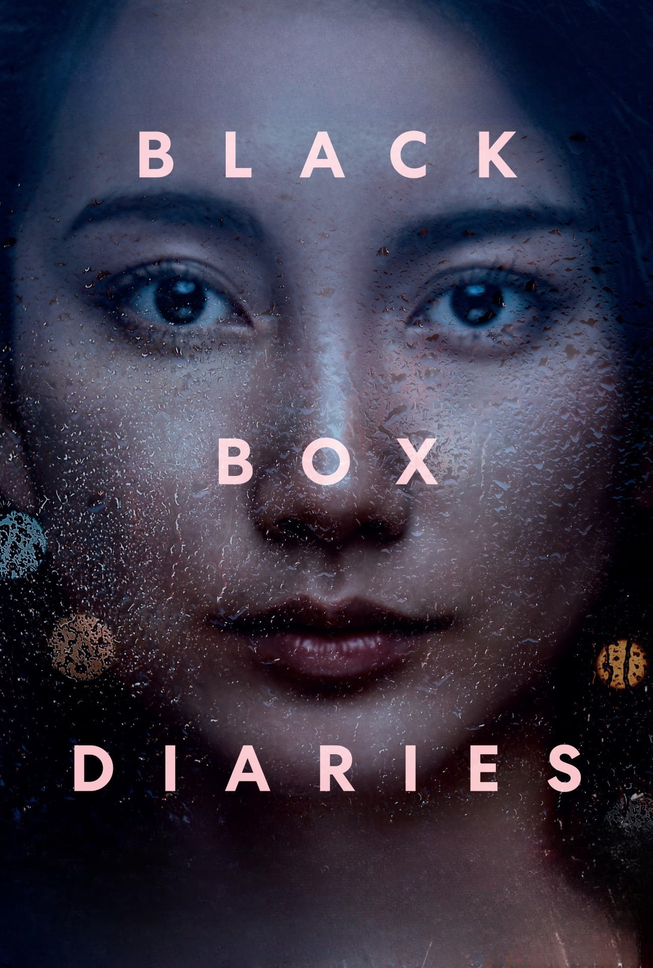 Black Box Diaries | Black Box Diaries