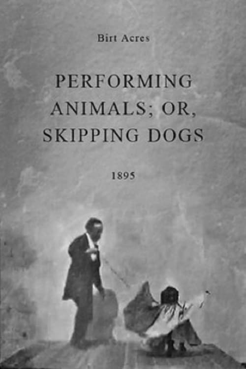 Performing Animals; or, Skipping Dogs | Performing Animals; or, Skipping Dogs