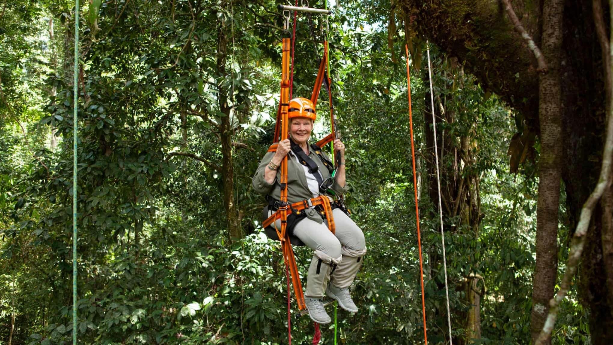 Judi Dench's Wild Borneo Adventure|Judi Dench's Wild Borneo Adventure