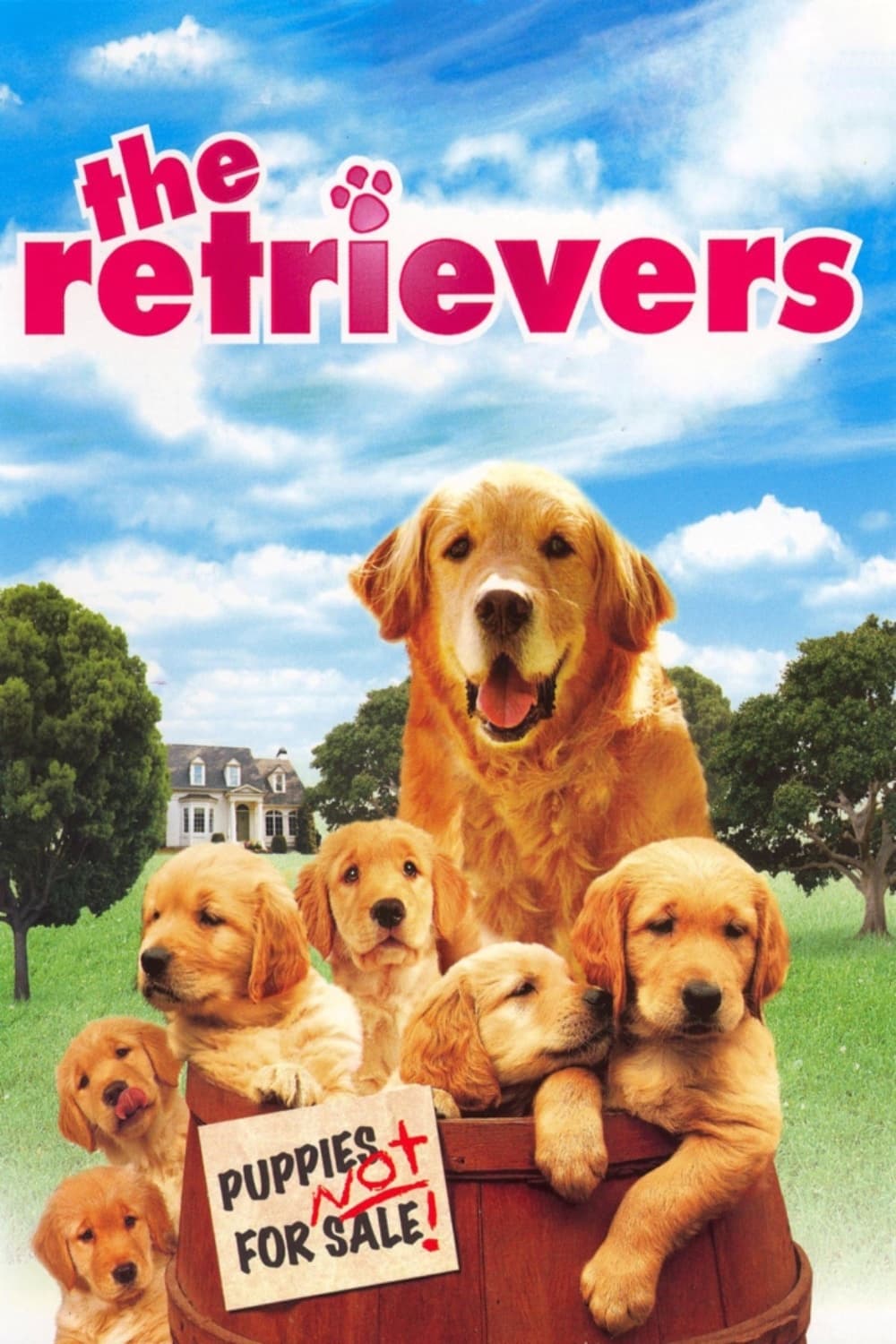 The Retrievers | The Retrievers