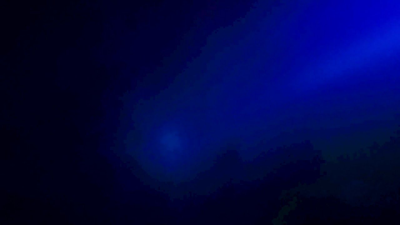 Creatures of the Deep|Creatures of the Deep