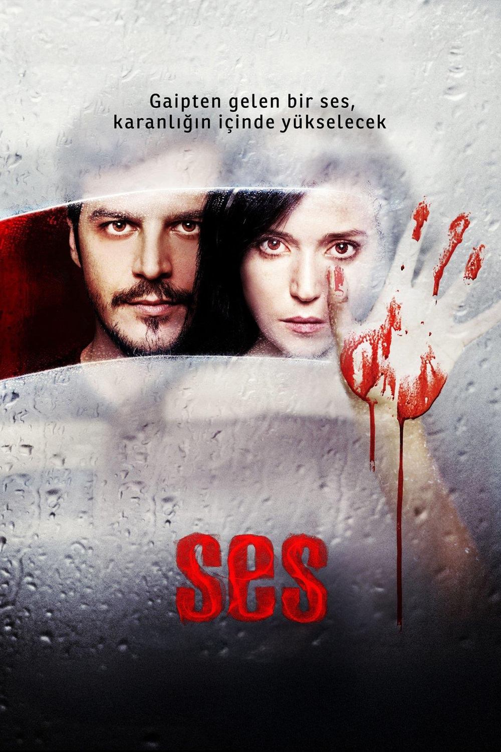 Ses | Ses