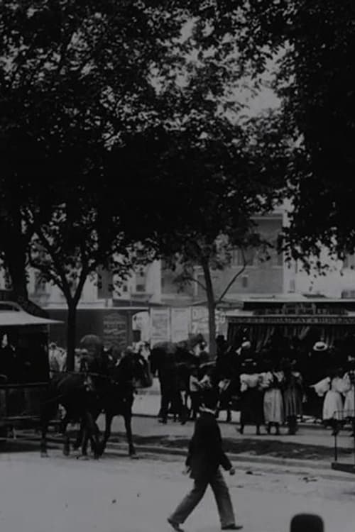 View on Boulevard, New York City | View on Boulevard, New York City