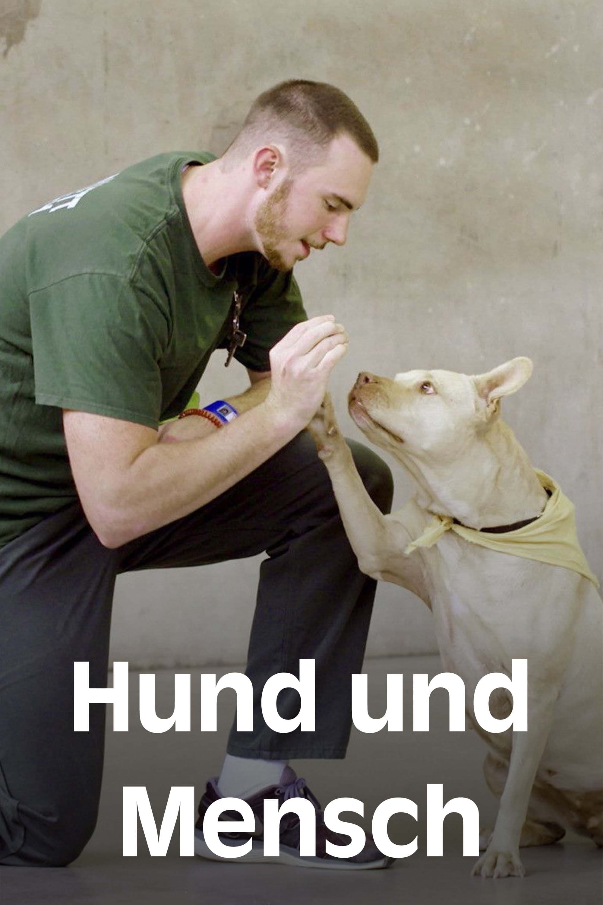 Hund und Mensch: Das Geheimnis einer Freundschaft | Hund und Mensch: Das Geheimnis einer Freundschaft